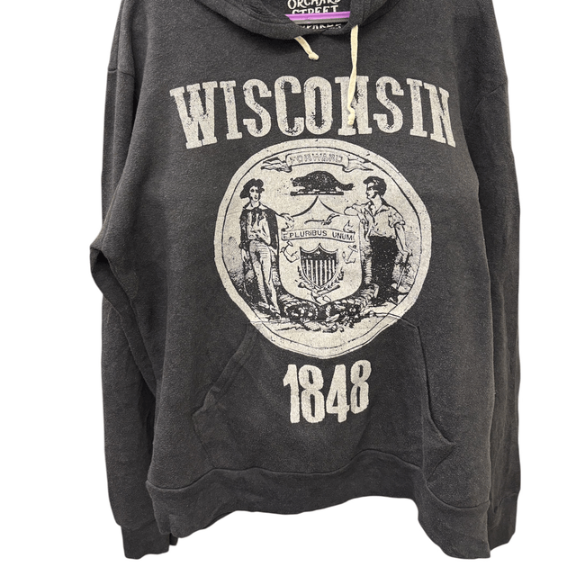 Wisconsin hoodie 