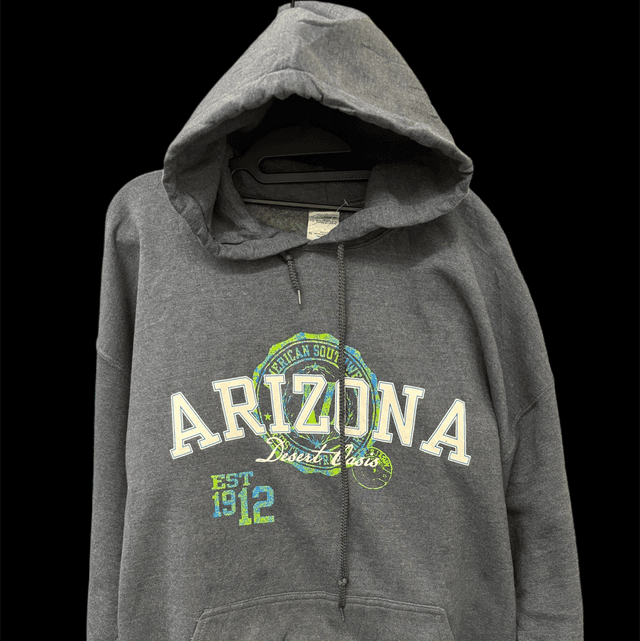 Arizona hoodie 